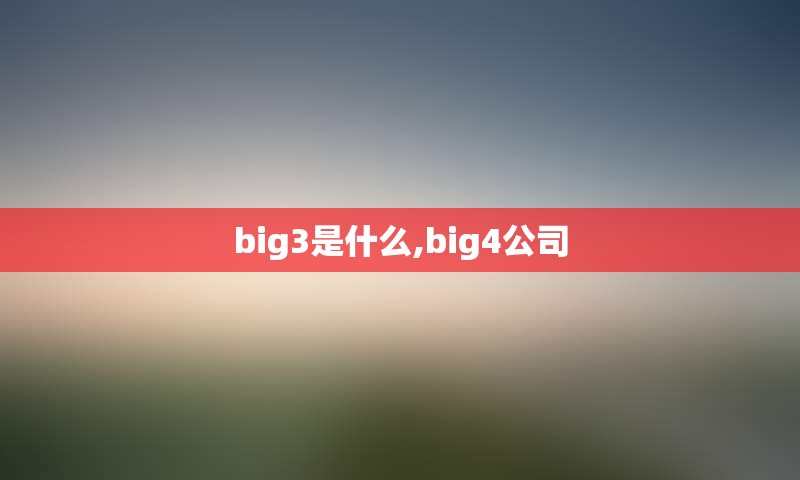 big3是什么,big4公司