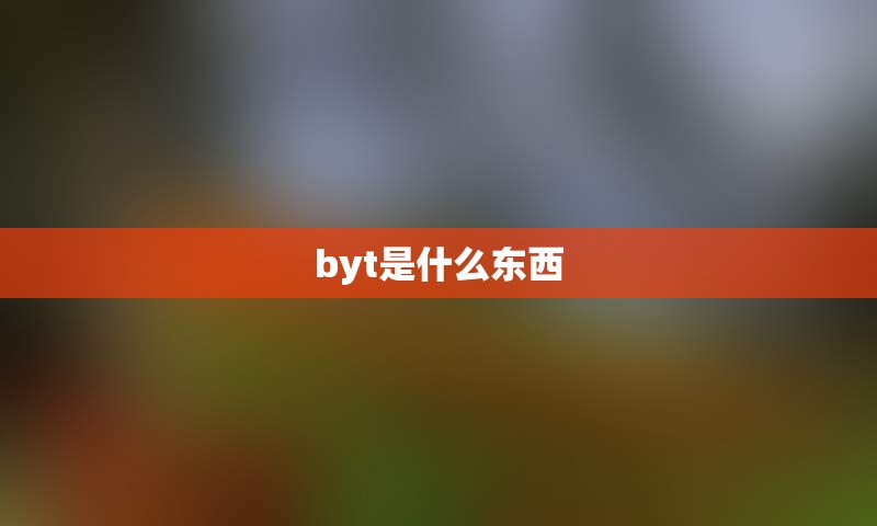 byt是什么东西