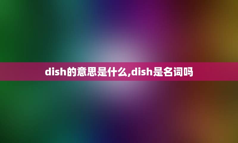 dish的意思是什么,dish是名词吗