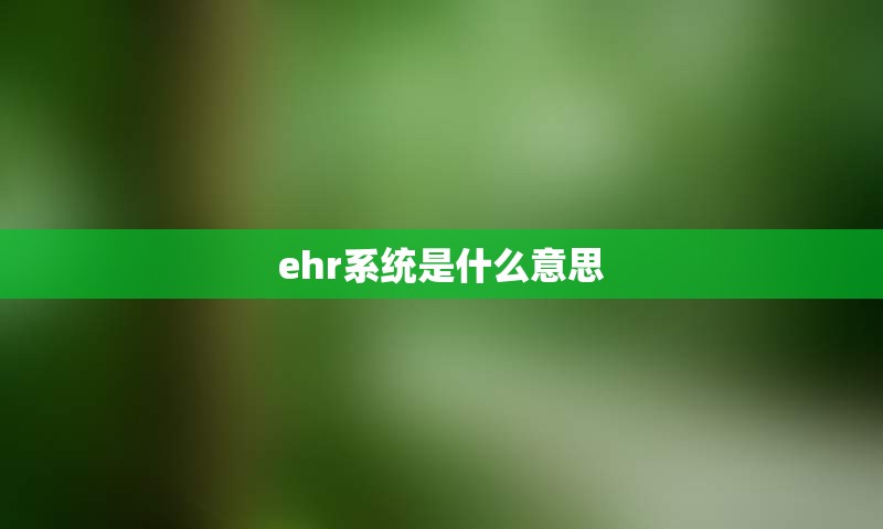 ehr系统是什么意思