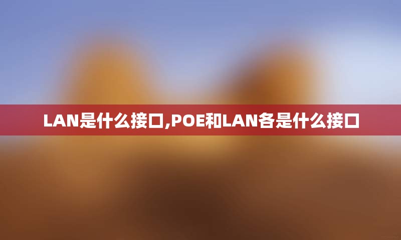 LAN是什么接口,POE和LAN各是什么接口