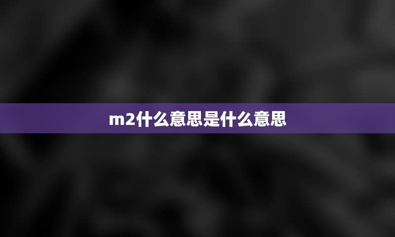 m2什么意思是什么意思