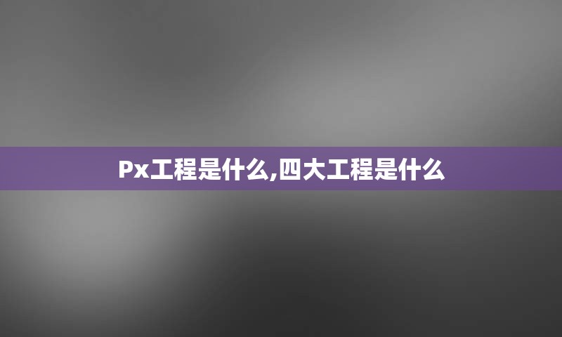 Px工程是什么,四大工程是什么