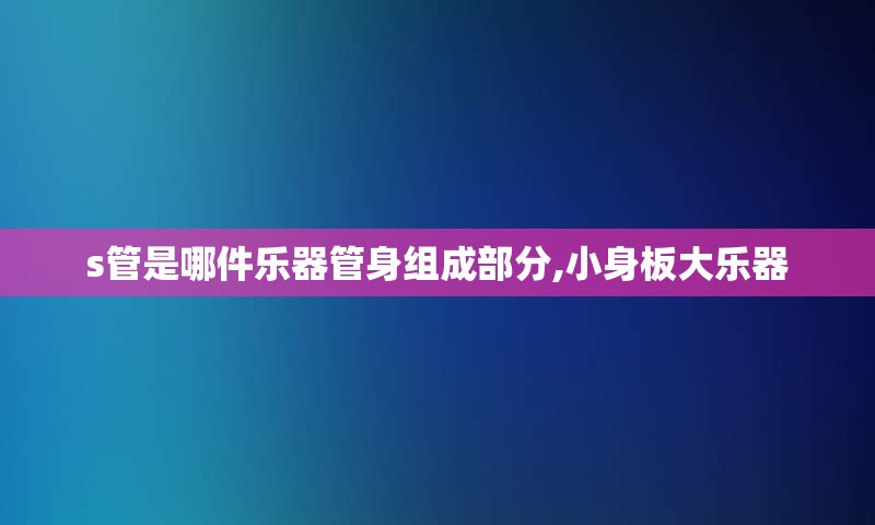 s管是哪件乐器管身组成部分,小身板大乐器