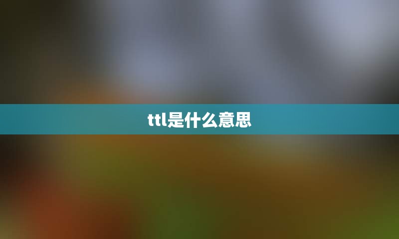 ttl是什么意思