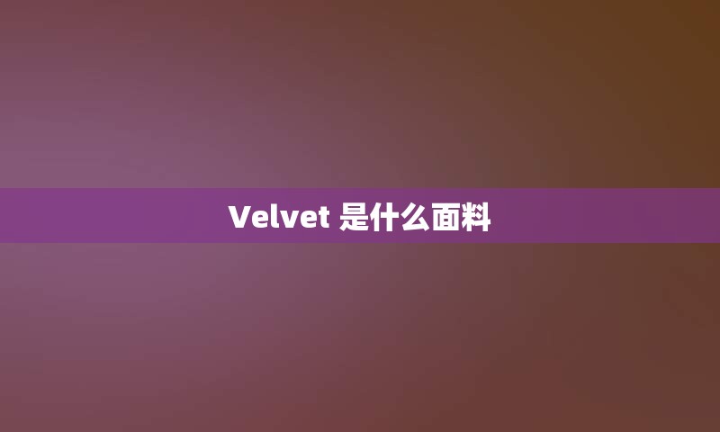 Velvet 是什么面料