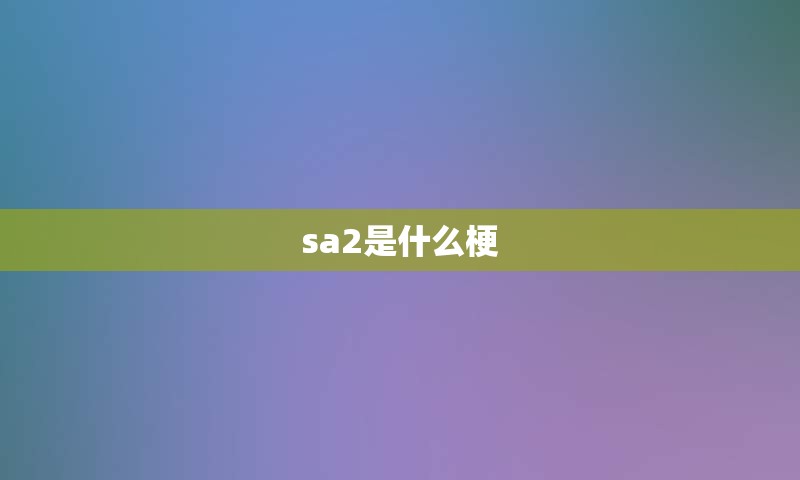 sa2是什么梗