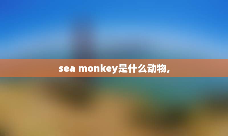 sea monkey是什么动物,