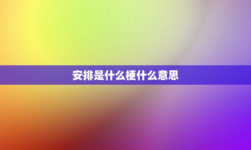 安排是什么梗什么意思