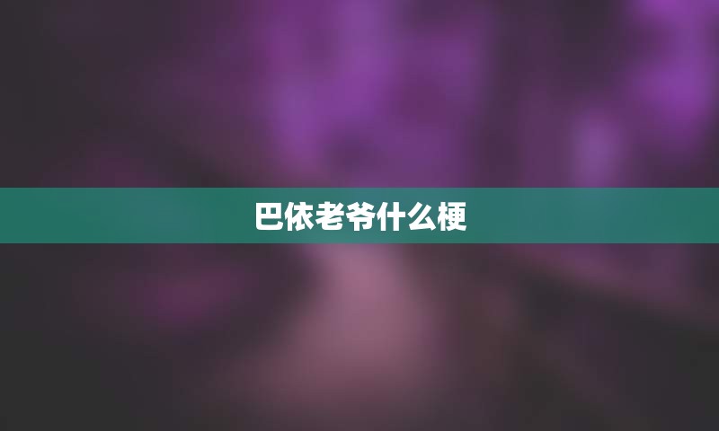 巴依老爷什么梗