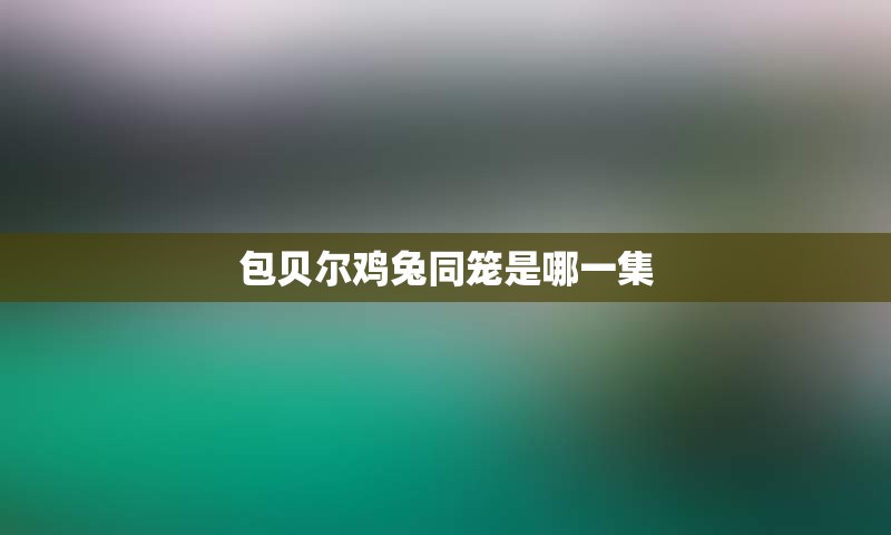 包贝尔鸡兔同笼是哪一集