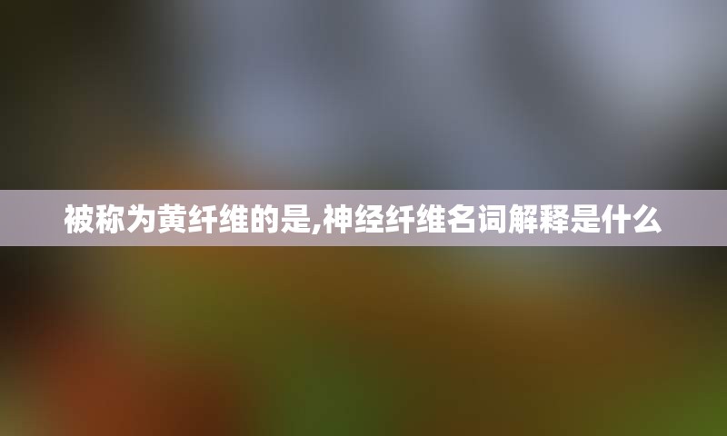 被称为黄纤维的是,神经纤维名词解释是什么