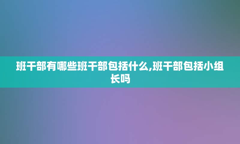 班干部有哪些班干部包括什么,班干部包括小组长吗