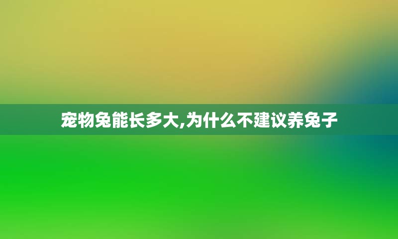 宠物兔能长多大,为什么不建议养兔子