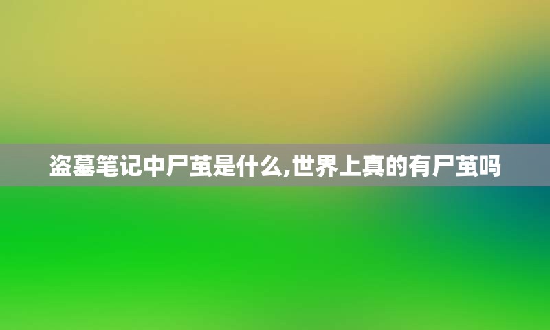 盗墓笔记中尸茧是什么,世界上真的有尸茧吗