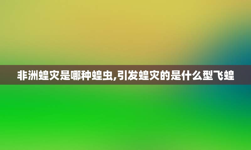 非洲蝗灾是哪种蝗虫,引发蝗灾的是什么型飞蝗