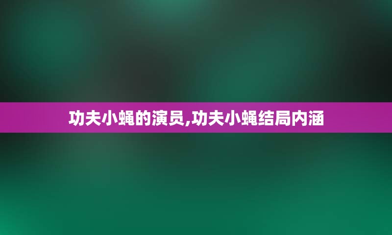 功夫小蝇的演员,功夫小蝇结局内涵