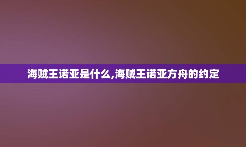 海贼王诺亚是什么,海贼王诺亚方舟的约定