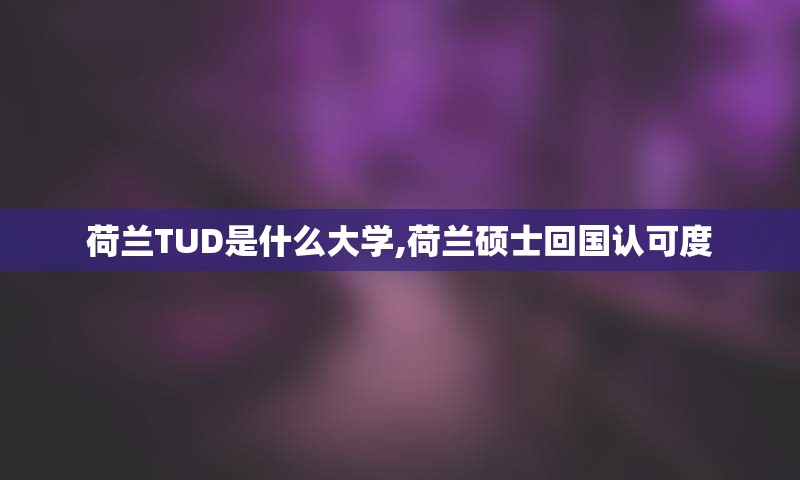 荷兰TUD是什么大学,荷兰硕士回国认可度