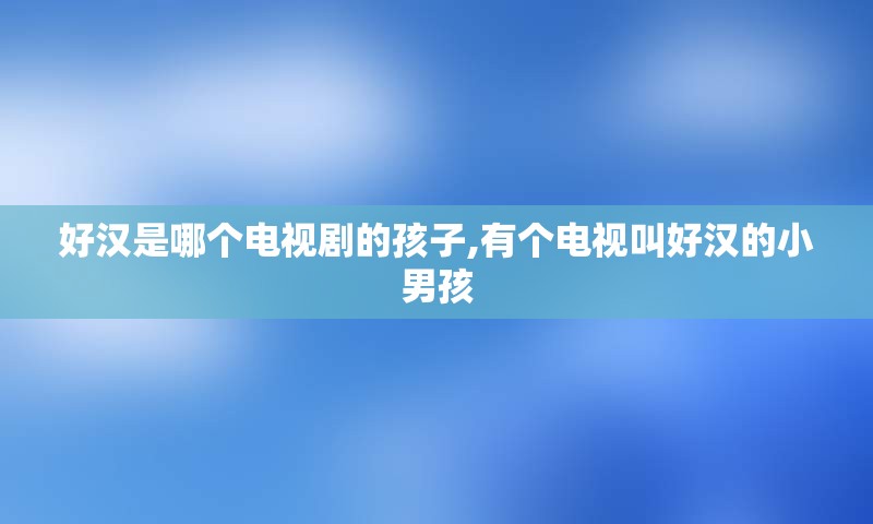 好汉是哪个电视剧的孩子,有个电视叫好汉的小男孩