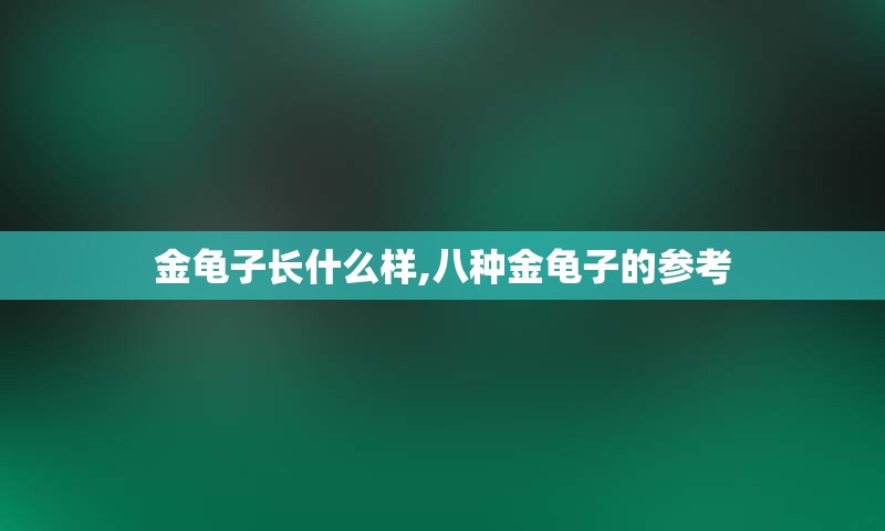 金龟子长什么样,八种金龟子的参考