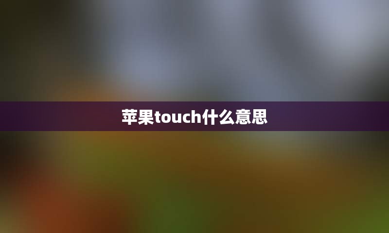 苹果touch什么意思