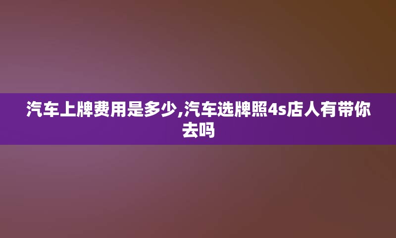 汽车上牌费用是多少,汽车选牌照4s店人有带你去吗