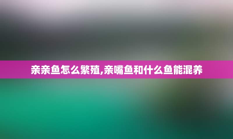 亲亲鱼怎么繁殖,亲嘴鱼和什么鱼能混养