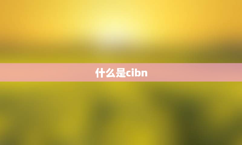 什么是cibn