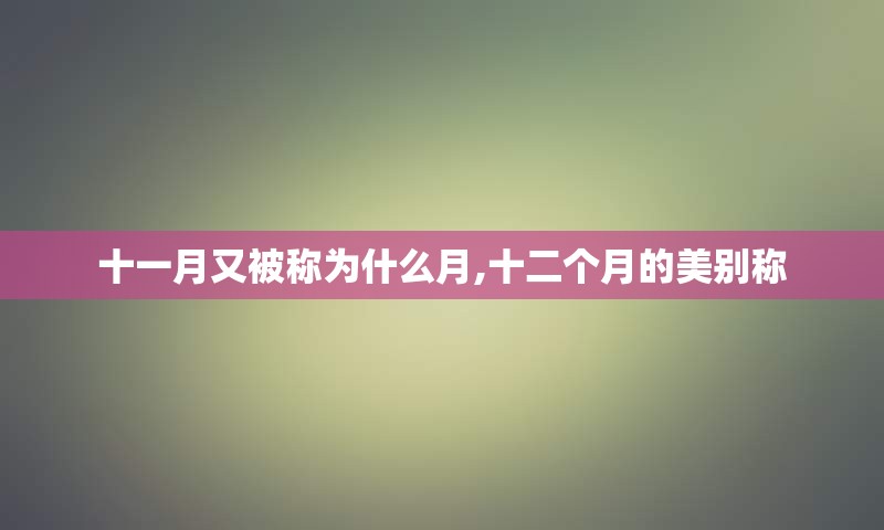 十一月又被称为什么月,十二个月的美别称