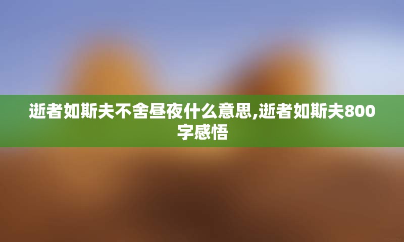 逝者如斯夫不舍昼夜什么意思,逝者如斯夫800字感悟