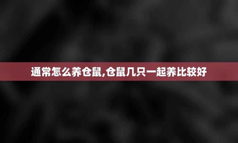 通常怎么养仓鼠,仓鼠几只一起养比较好