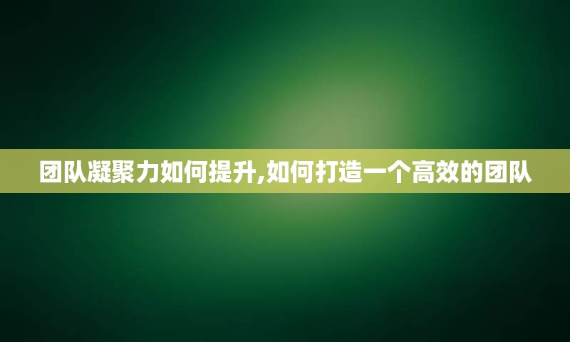 团队凝聚力如何提升,如何打造一个高效的团队