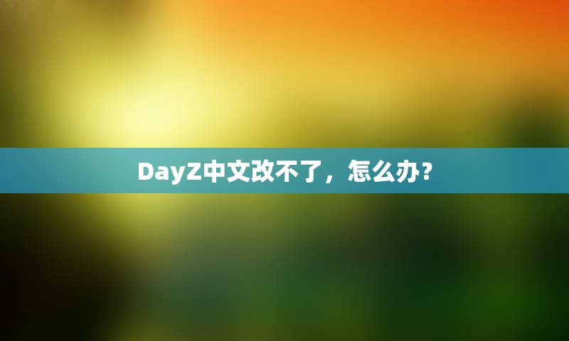 DayZ中文改不了，怎么办？