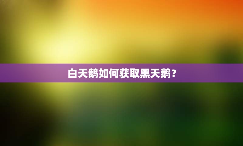 白天鹅如何获取黑天鹅？