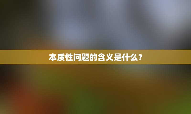 本质性问题的含义是什么？