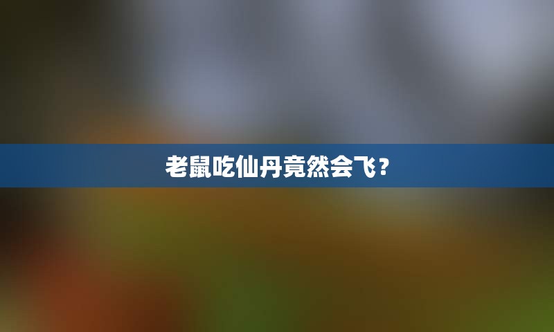 老鼠吃仙丹竟然会飞？