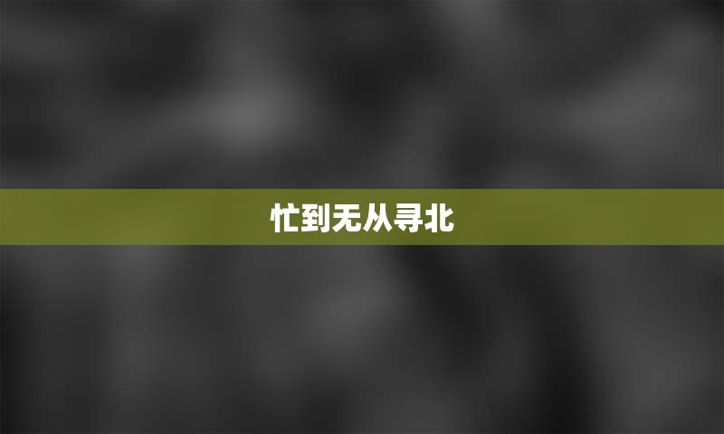 忙到无从寻北