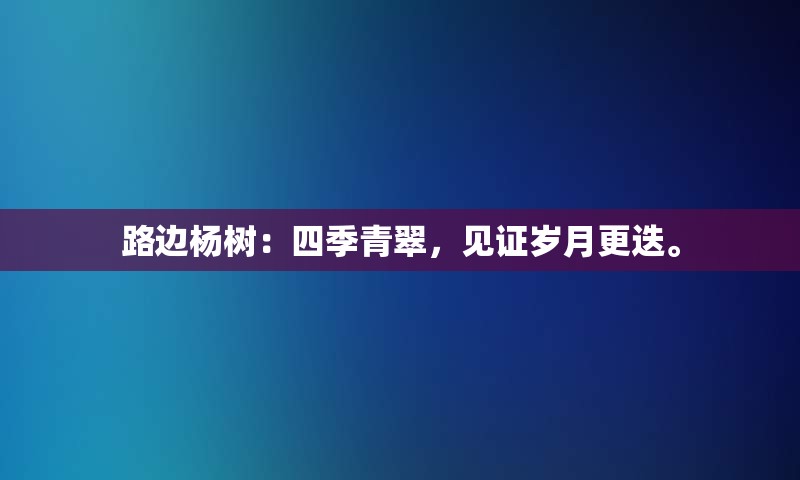 路边杨树：四季青翠，见证岁月更迭。