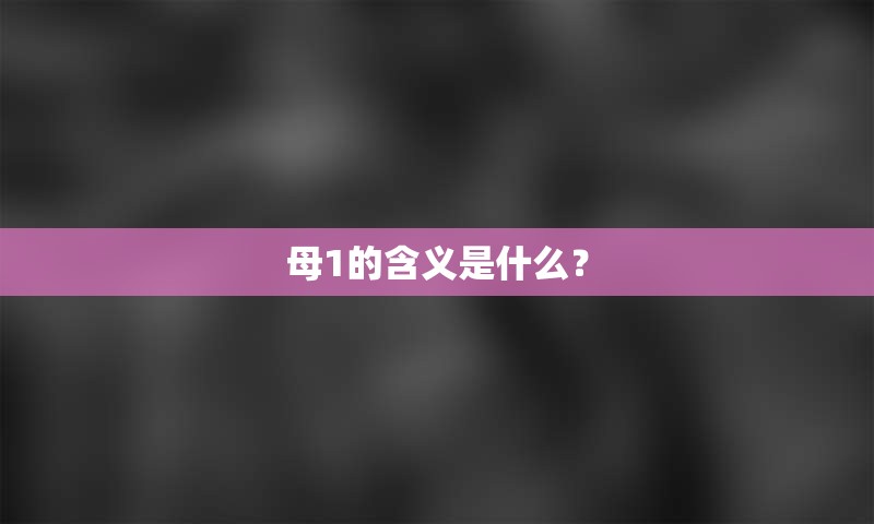 母1的含义是什么？