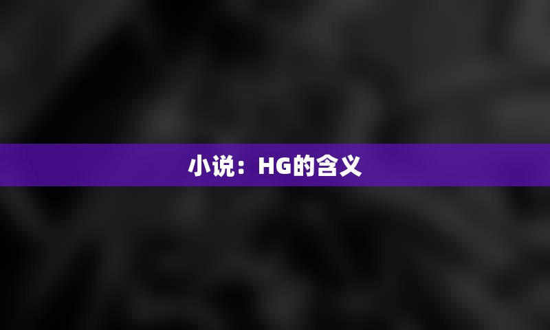 小说：HG的含义