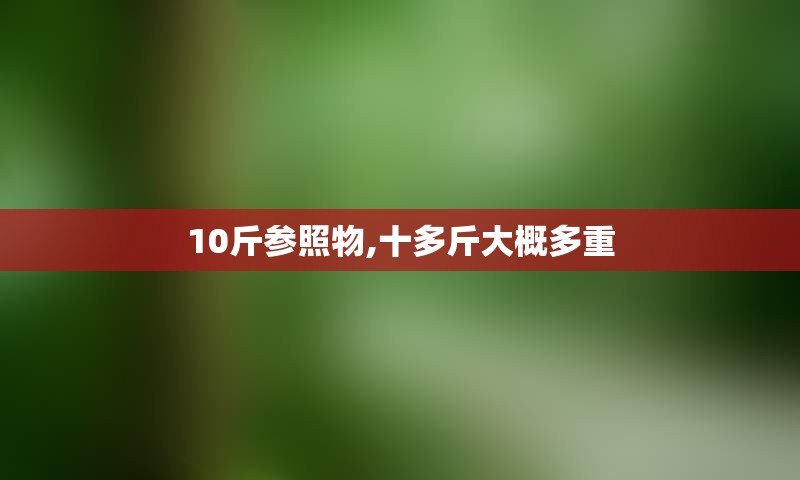 10斤参照物,十多斤大概多重