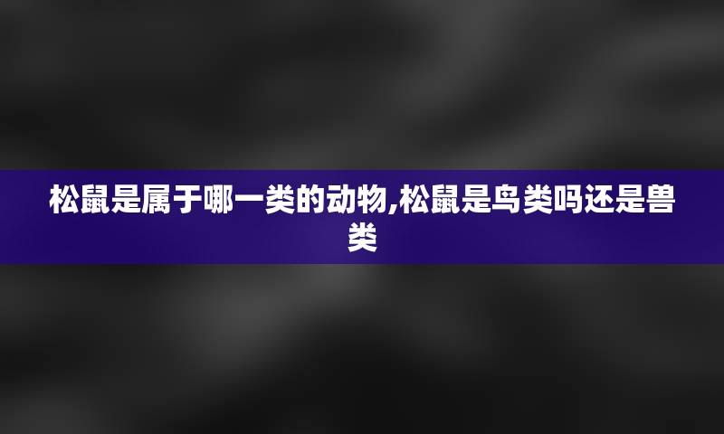 松鼠是属于哪一类的动物,松鼠是鸟类吗还是兽类